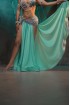 Professional bellydance costume (Classic 413A_1)